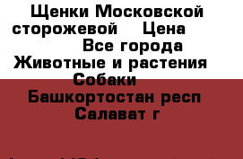 Щенки Московской сторожевой  › Цена ­ 25 000 - Все города Животные и растения » Собаки   . Башкортостан респ.,Салават г.